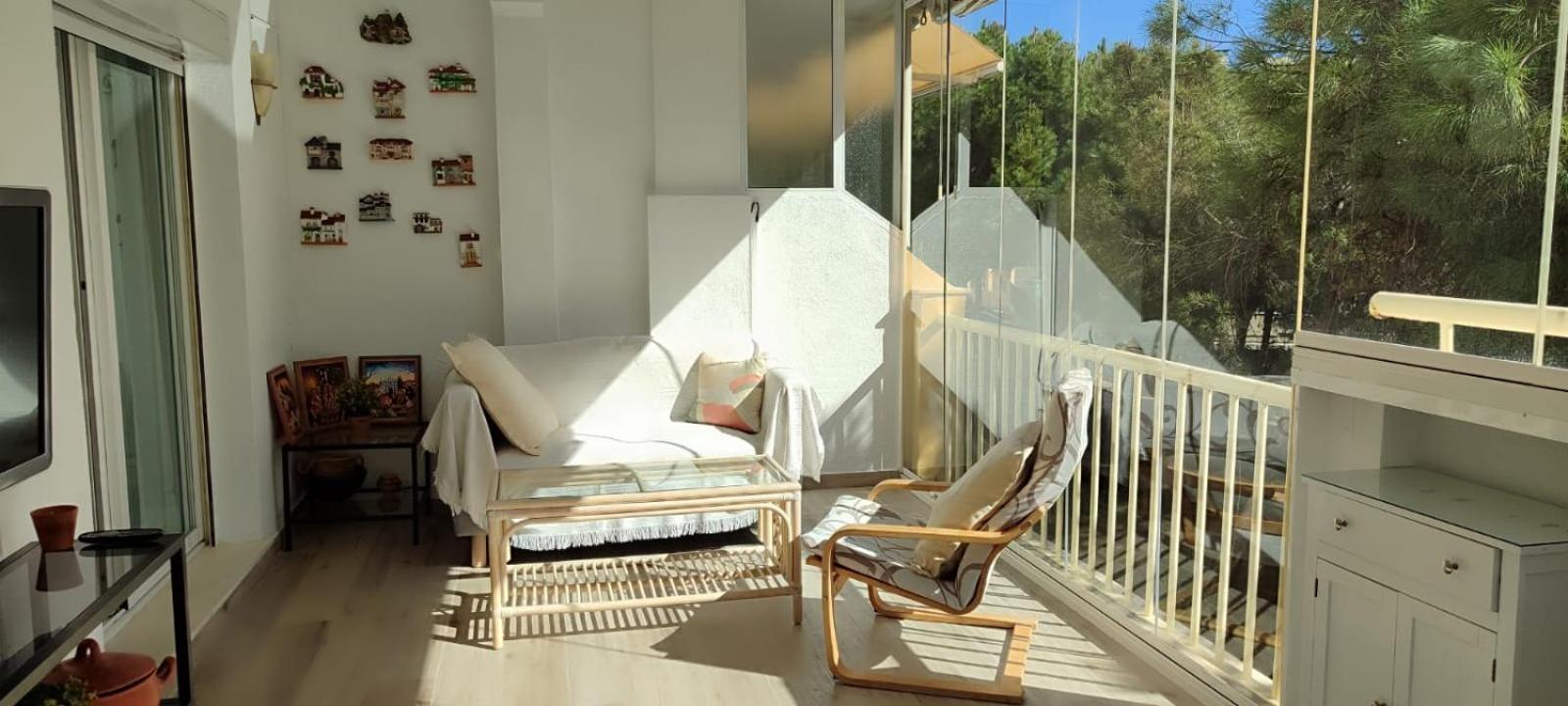Beach Forest Paradise Marbella Luaran gambar